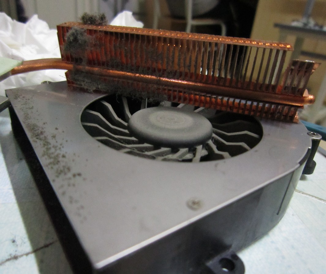 [硬件区满满都是爱] 笔记本MXM3.0接口显卡欣