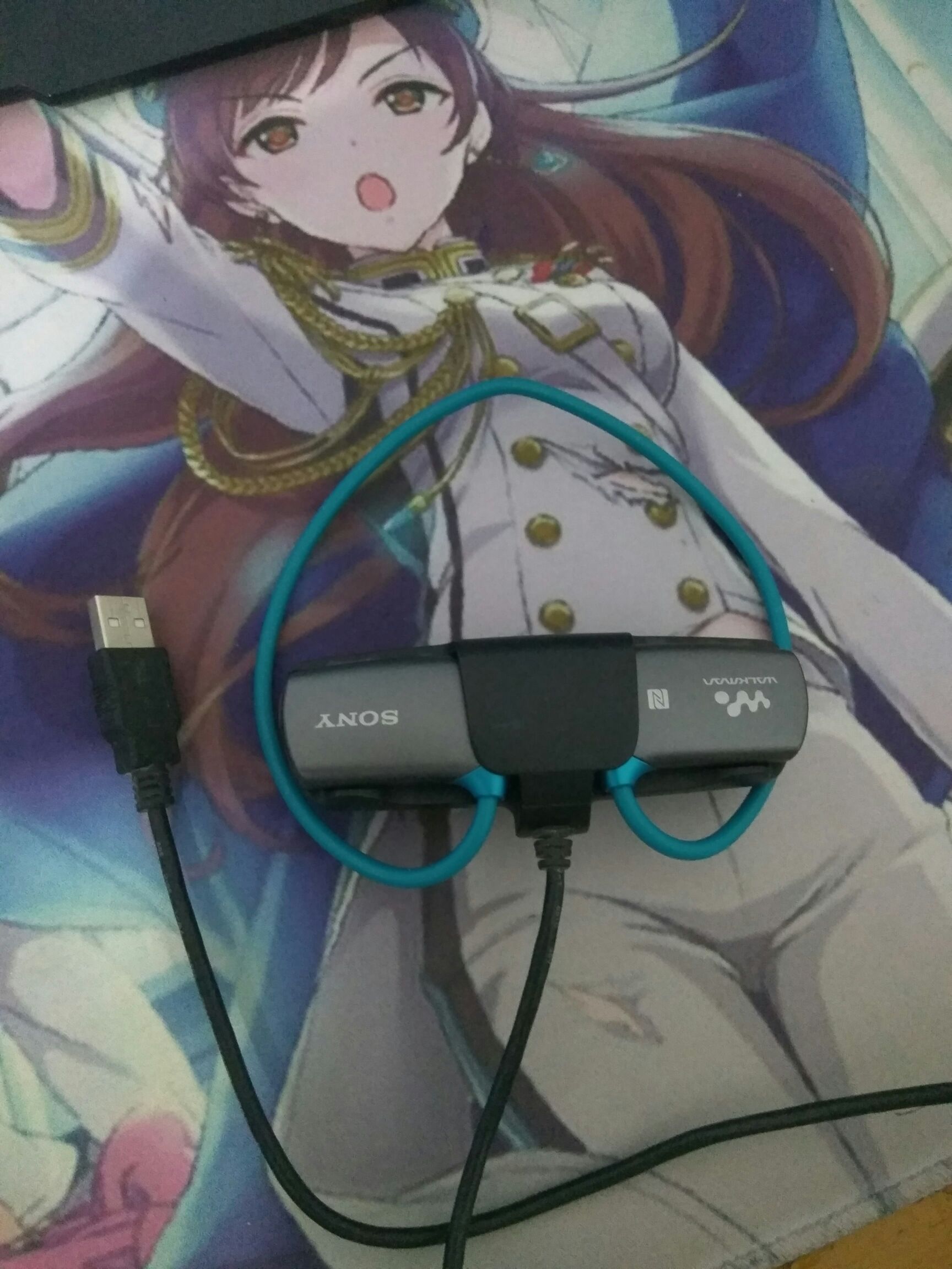 运动耳机相关,纠结中,sony和bose选哪个?