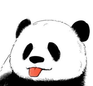 [幻化]师兄,师姐们有没有什么骚气的熊猫人幻化啊