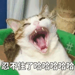 [破势水] 原谅我笑点低