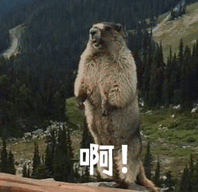 nga.cn/attachments/mon_201806/28/-7q5-8u0z1yt1ks7y-7p.gif.