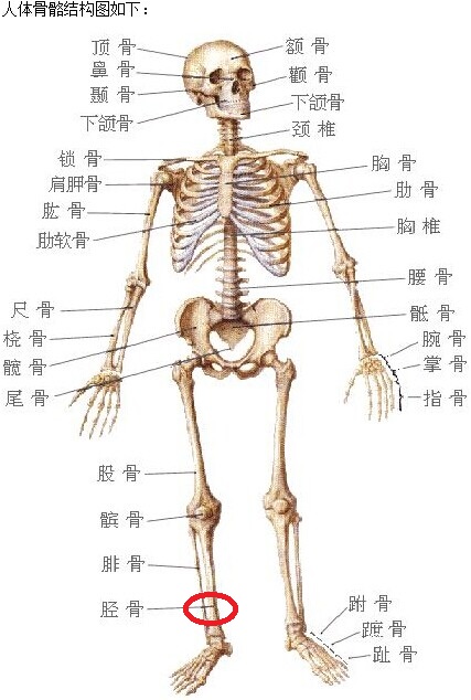 邹正这伤应该危及不了职业生涯