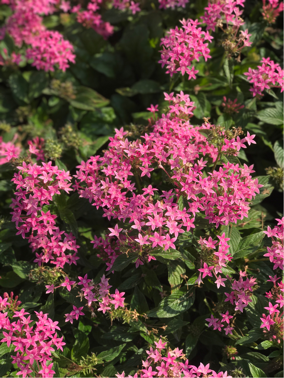 nga玩家社区 [f436]