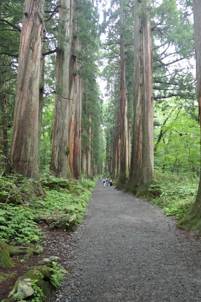 户隐比较有意思就是奥社前这两排大杉树了吧