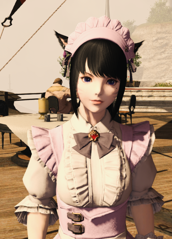 [我为什么喜欢这个游戏] 养老萌新的外观贴(图多流量慎入!