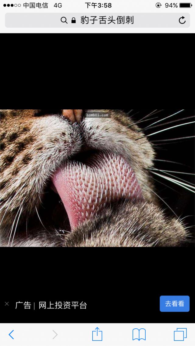 萌新求助一下孔明和梅林抽哪个.