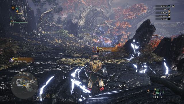 还有两个位置有一定几率刷灭烬龙和炎王龙的痕迹,炎王龙的