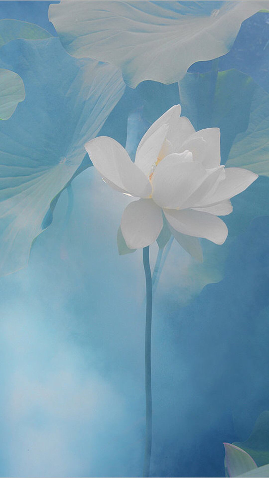 [手机平板][手机平板]国行iphone8p64g深空灰,已出给娘家人了