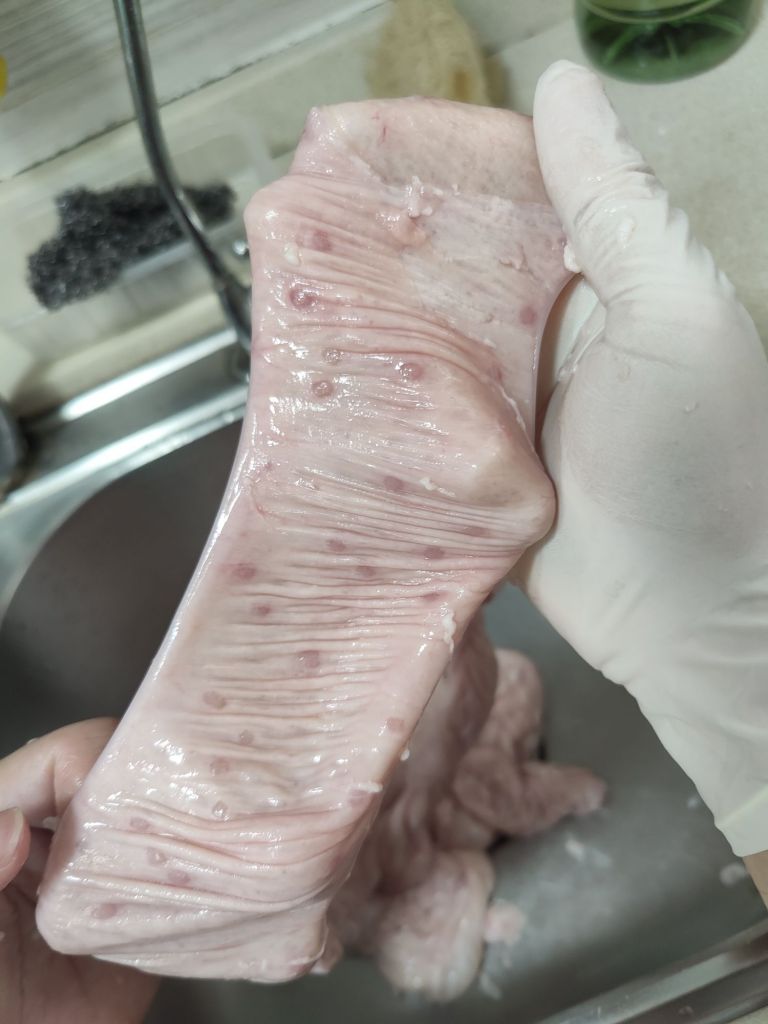 猪大肠上面的红点是啥？ NGA玩家社区